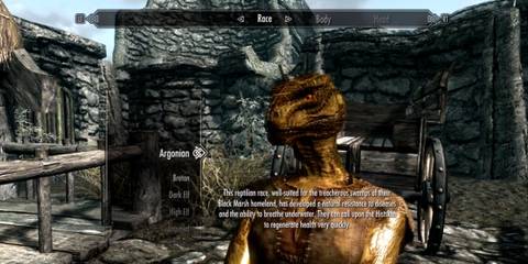 Skyrim - character creation Argonian