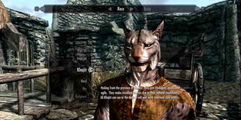 Skyrim - character creation Khajiit
