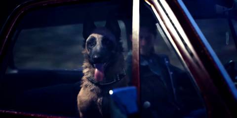 Blair Witch - Bullet in car