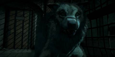 Until Dawn - Wolfie aggressive