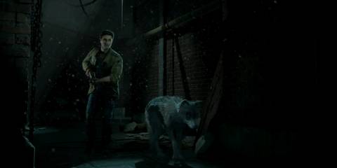 Until Dawn - Mike exploring with Wolfie