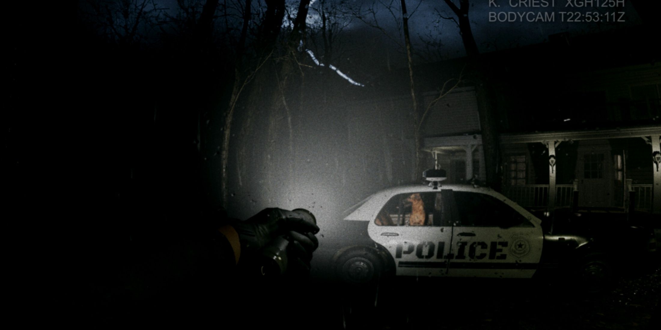 Best Animal Companions In Horror Games