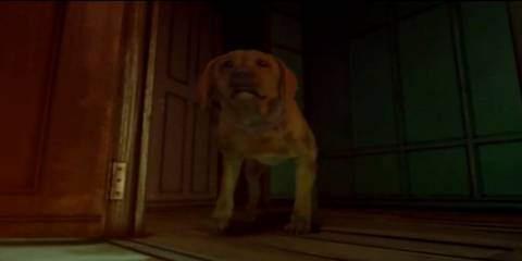 Rule of Rose - Brown