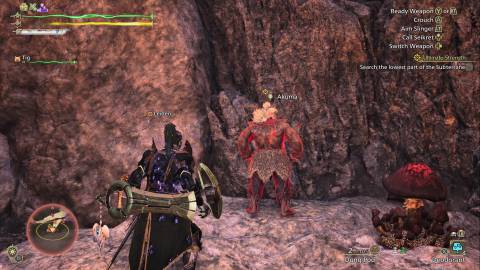 Monster Hunter Wilds Akuma