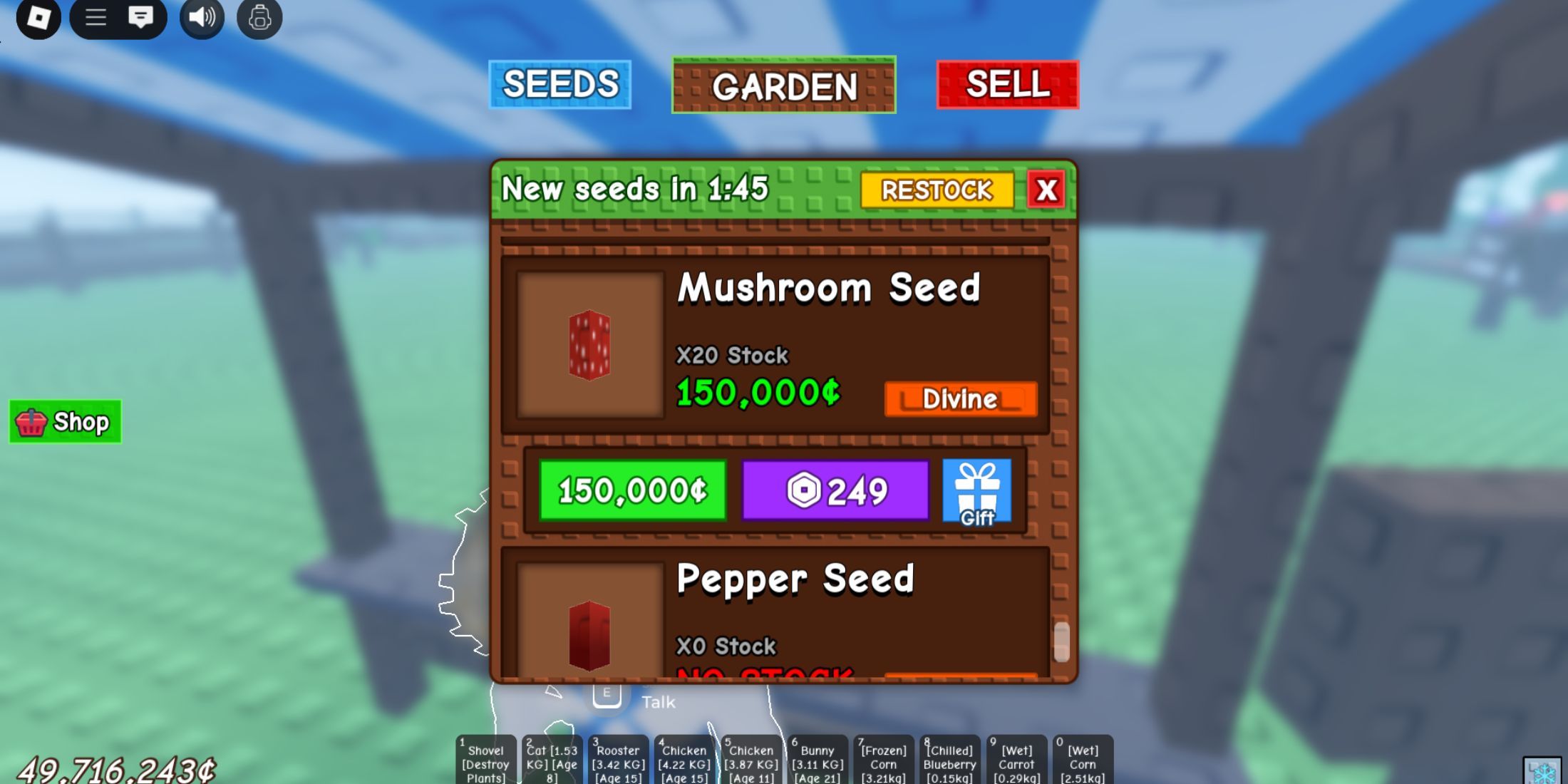 Mushroom seeds are grown garden