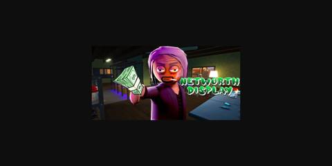 Net Worth Display Schedule 1