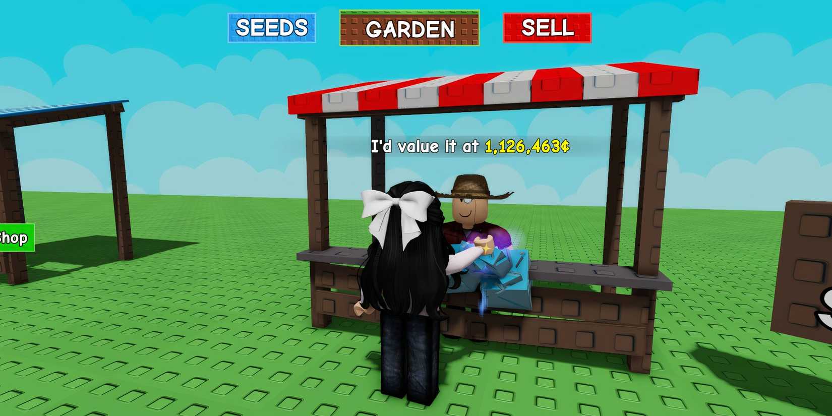 celestiberry seeds in grow a garden