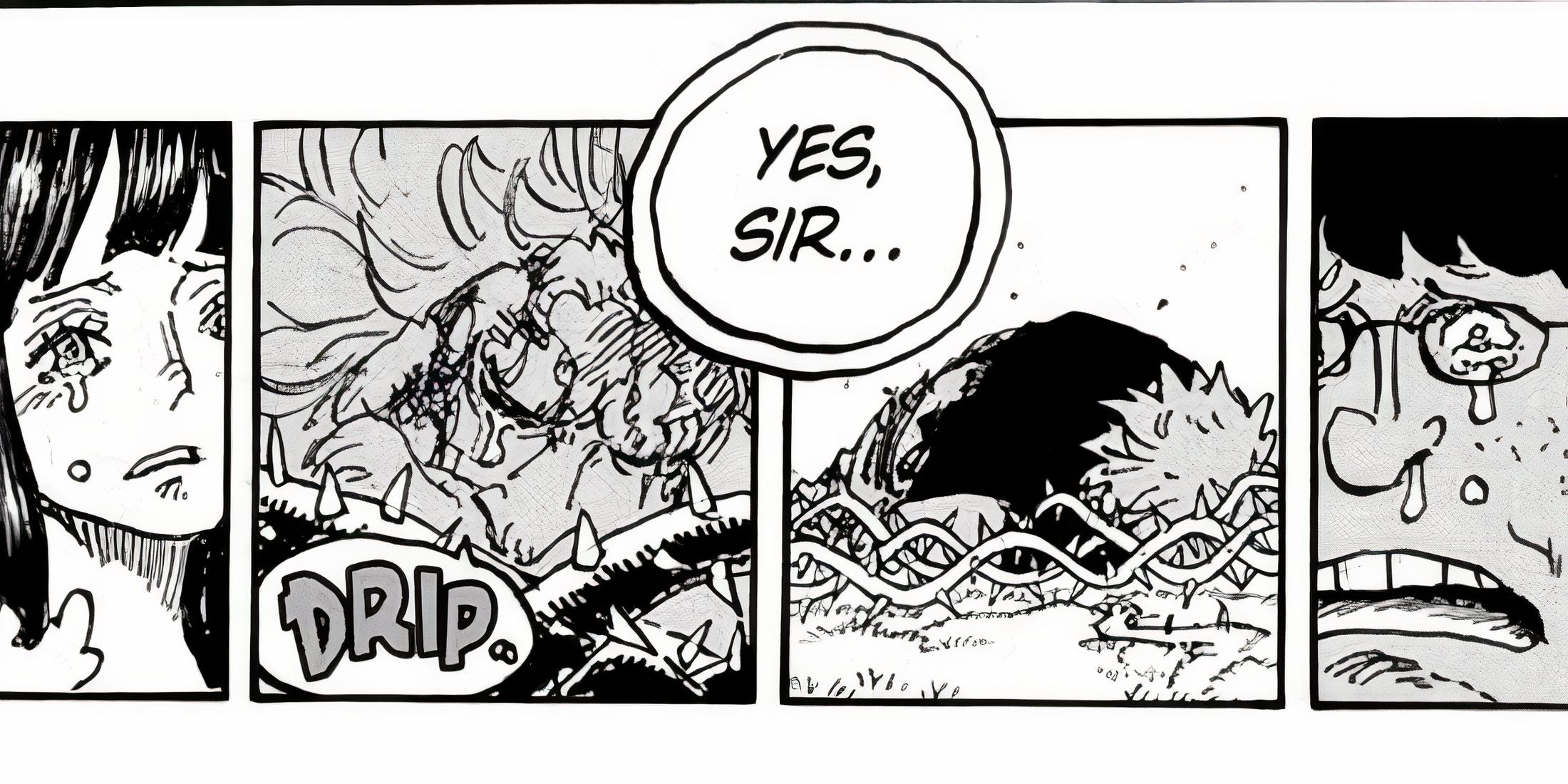 One Piece Chapter 1149 Delayed, New Release Date Announced