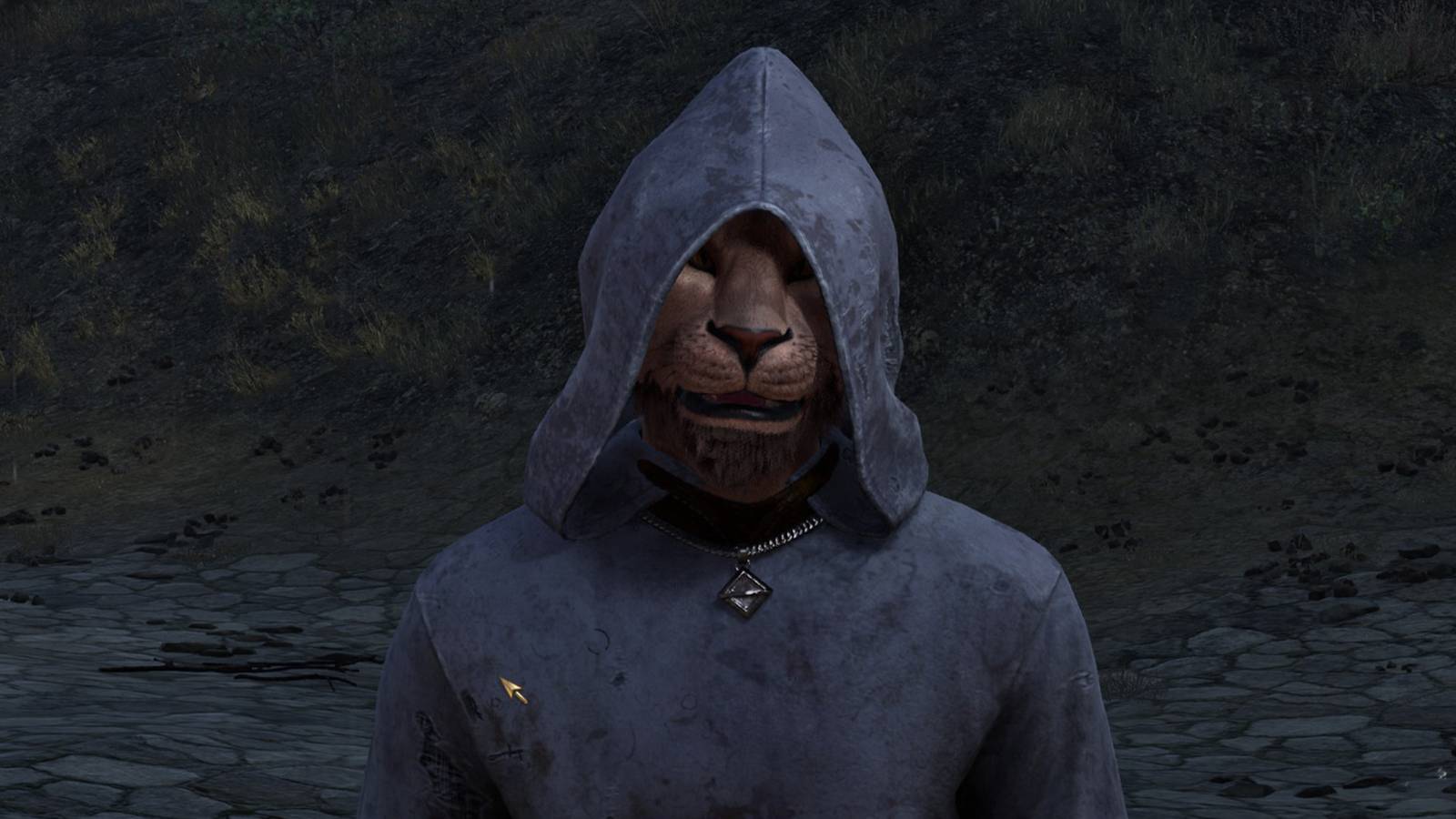 oblivion-remastered-bug-argonian-khajiit-character