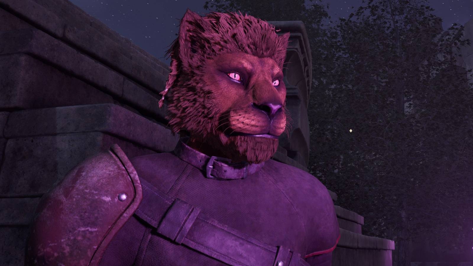 Oblivion Remastered Player Sits Down Wrong Time