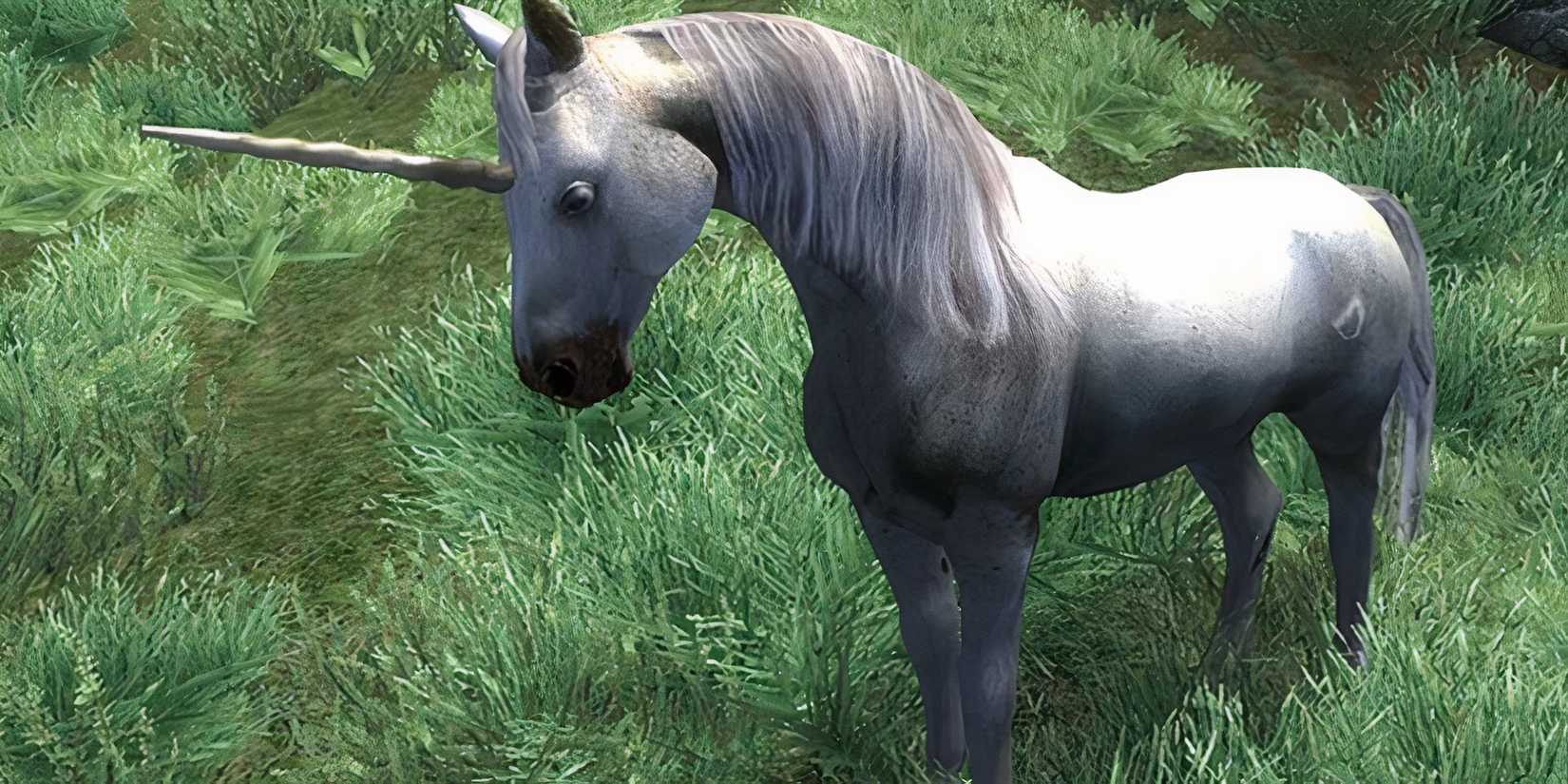 Oblivion Unicorn cropped