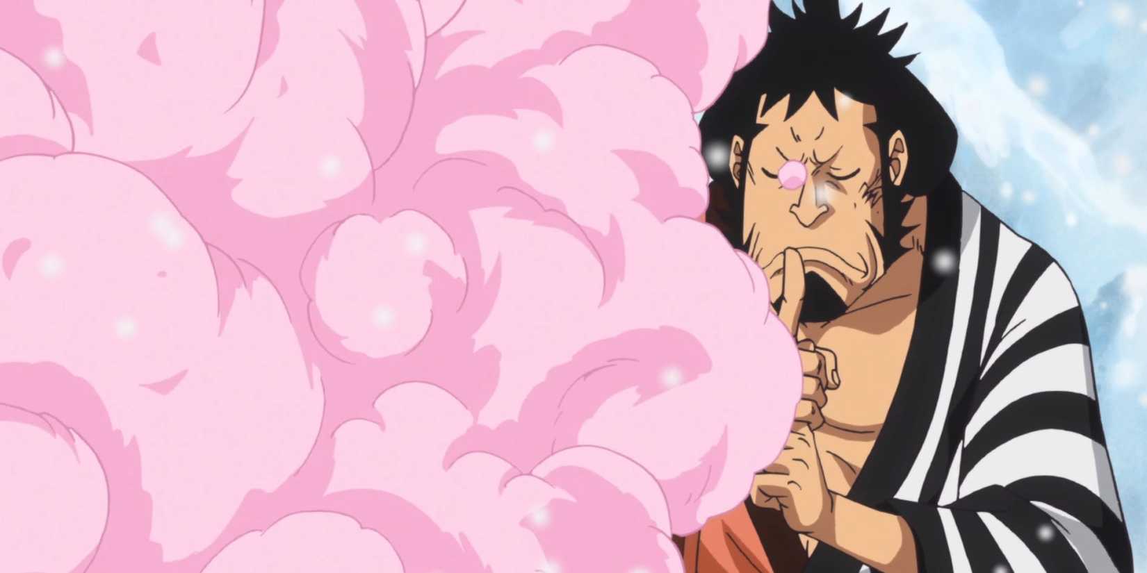 One Piece Devil Fruit Not for Combat Kinemon