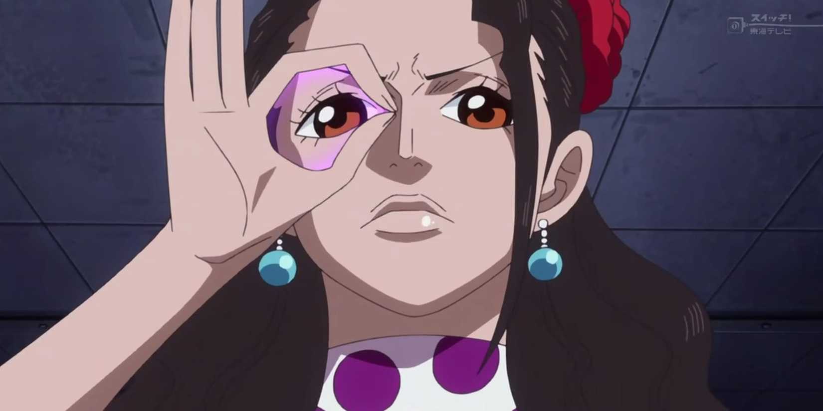 One Piece Devil Fruit Not for Combat Viola