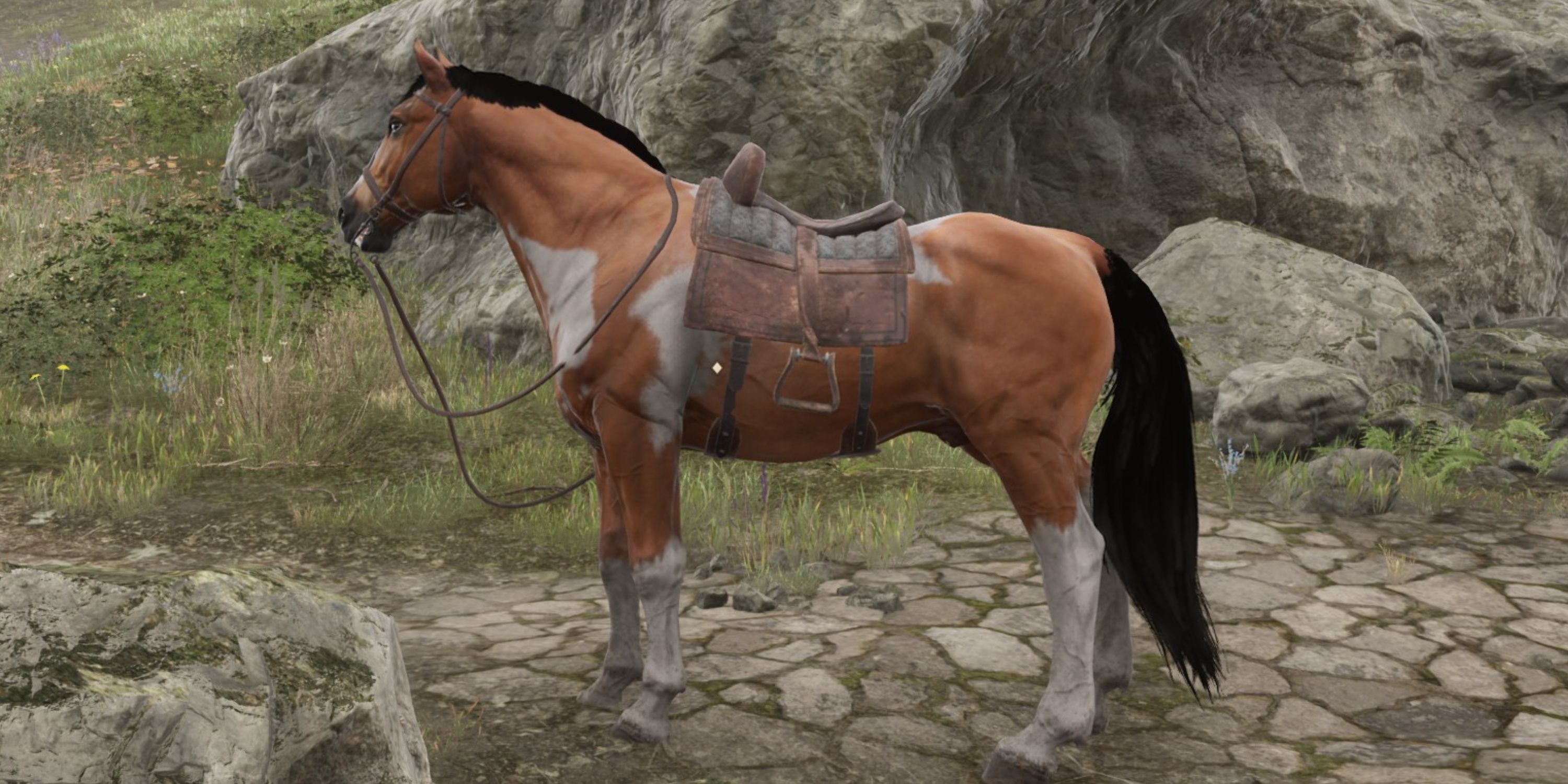 Paint Horse