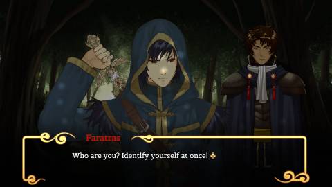 Path of the Midnight Sun Press Image 8