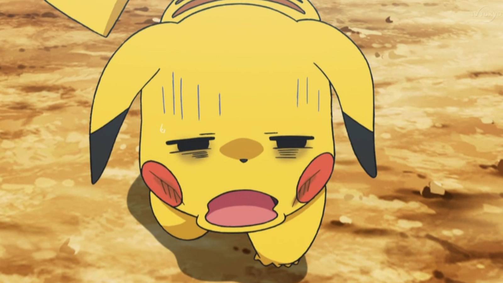 pokemon tcg pocket players overwhelmed by release cadence