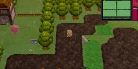 pokemon brilliant diamond shining pearl heart scale route 212