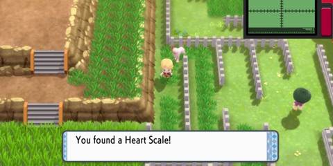 pokemon brilliant diamond shining pearl heart scale route 214