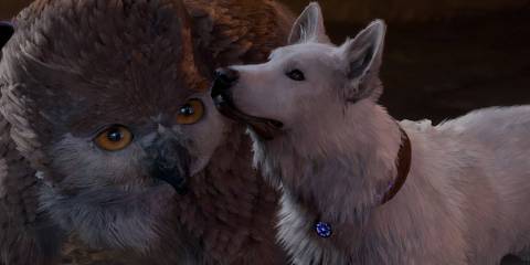 Scratch the dog and the Owlbear Cub from Baldur's Gate 3