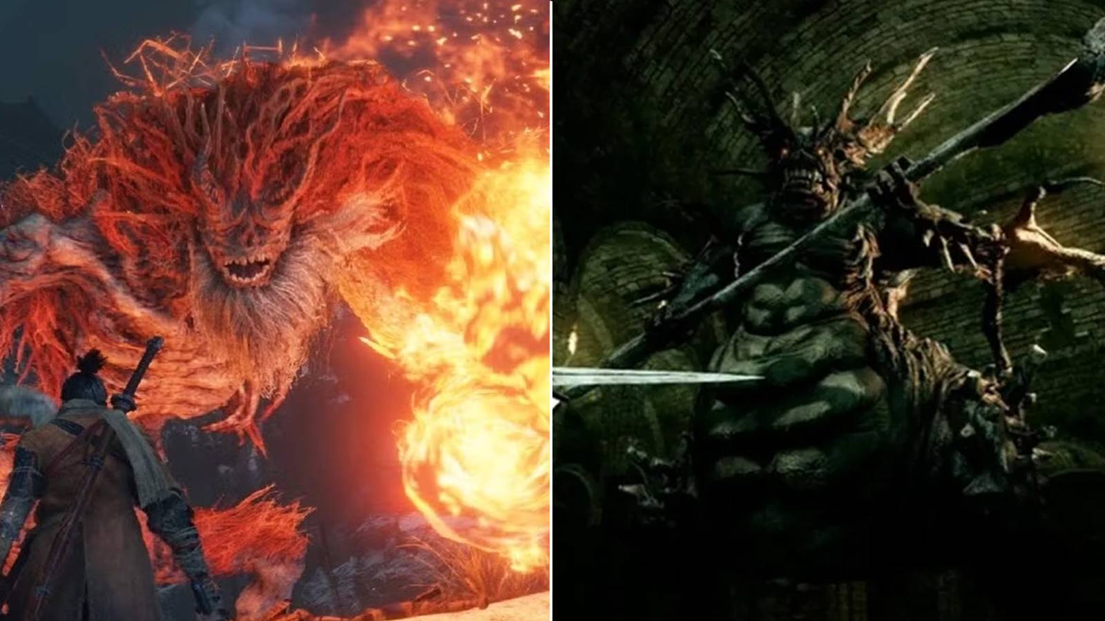 Demon Of Hatred and The Stray Demon