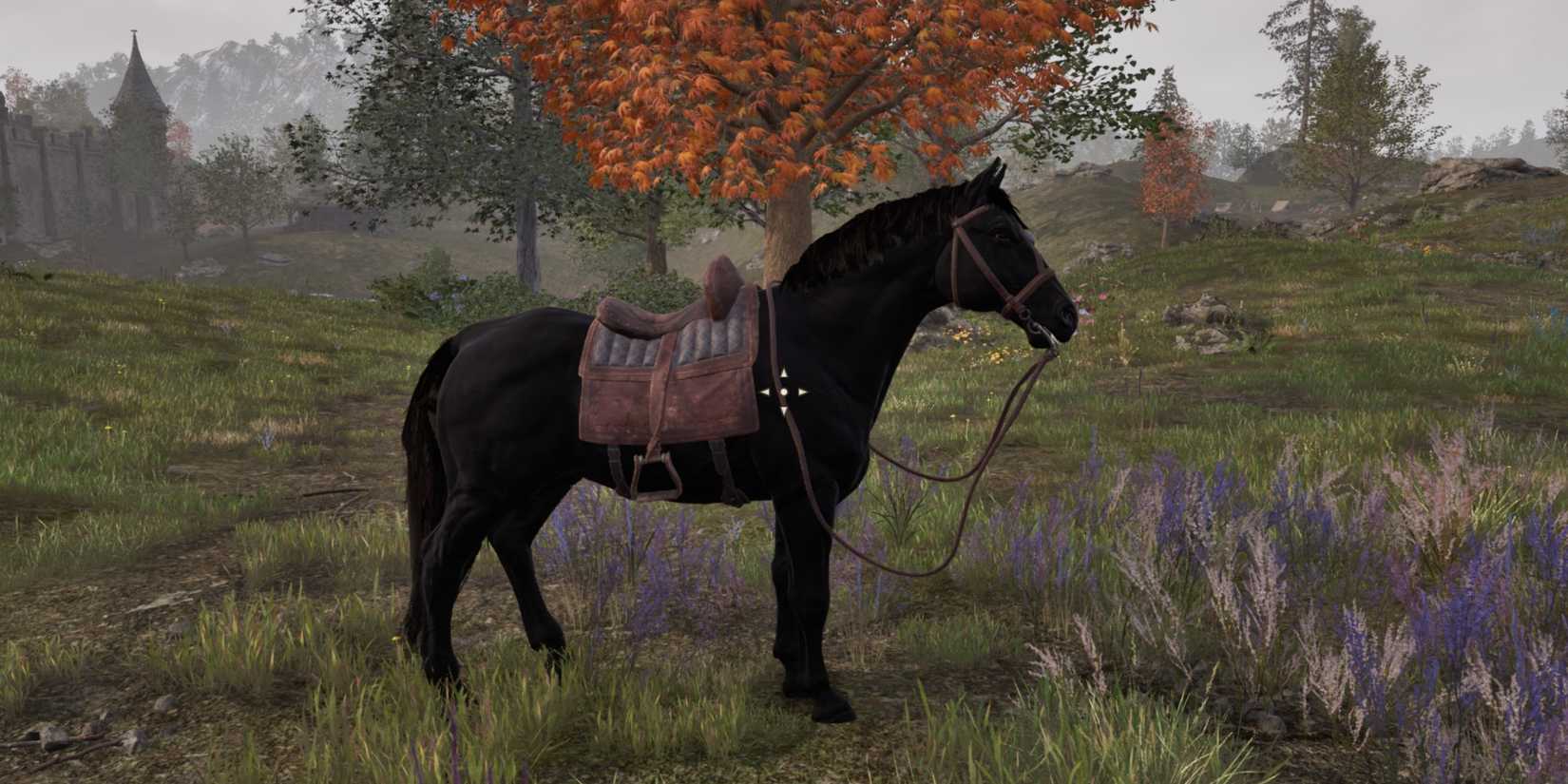 Shadowmere in Oblivion Remastered