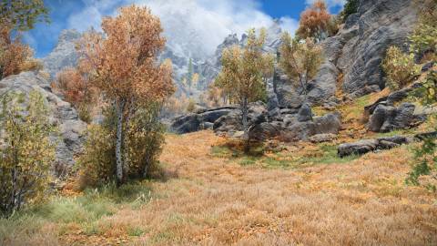 skyrim the rift leaves