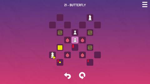 SokoChess White Press Image 3