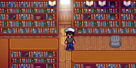 stardew-valley-fan-finds-character-pins-poland-comics-shop