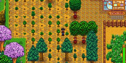stardew valley tree farm (1)