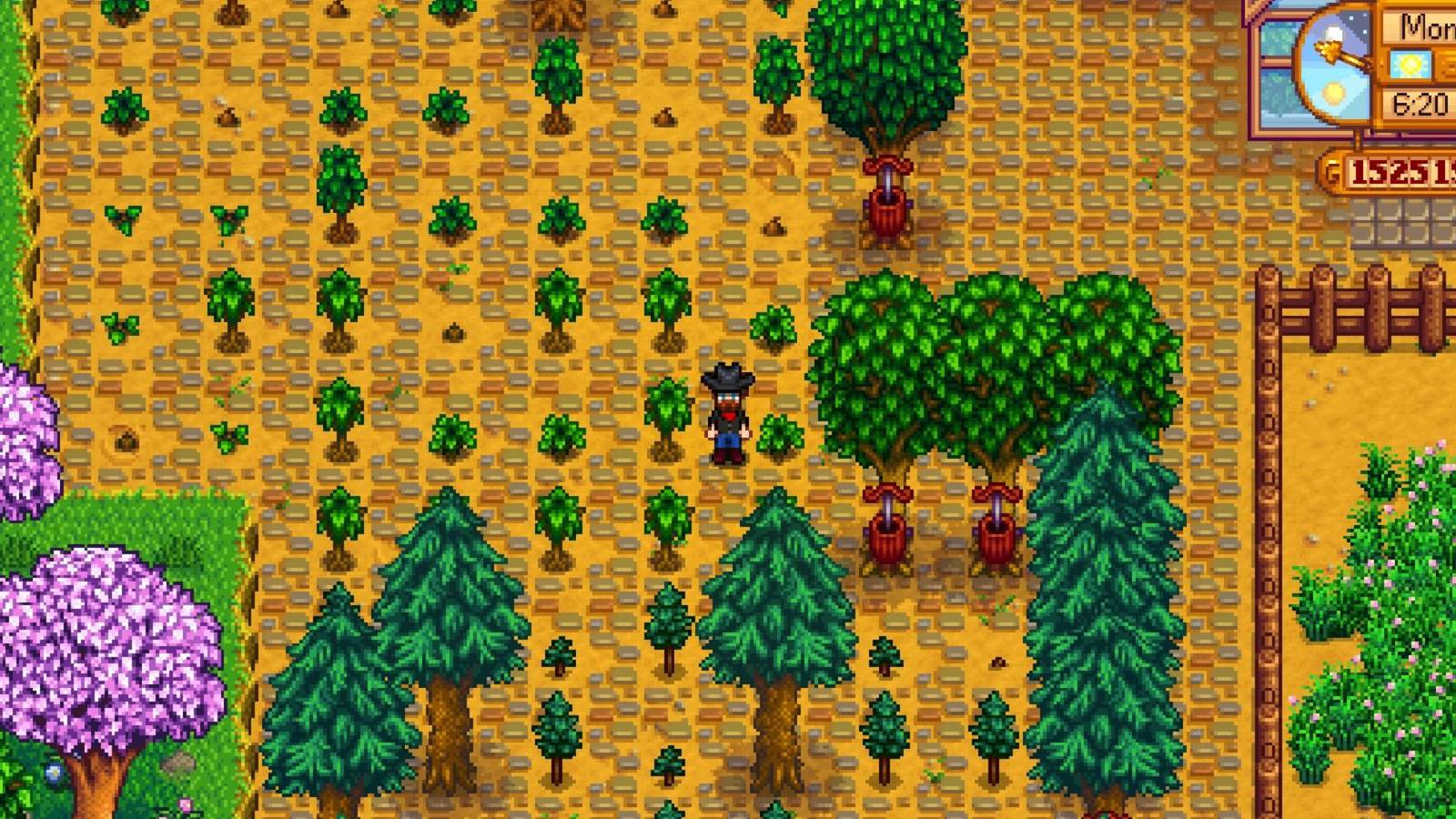 stardew valley tree farm (1)