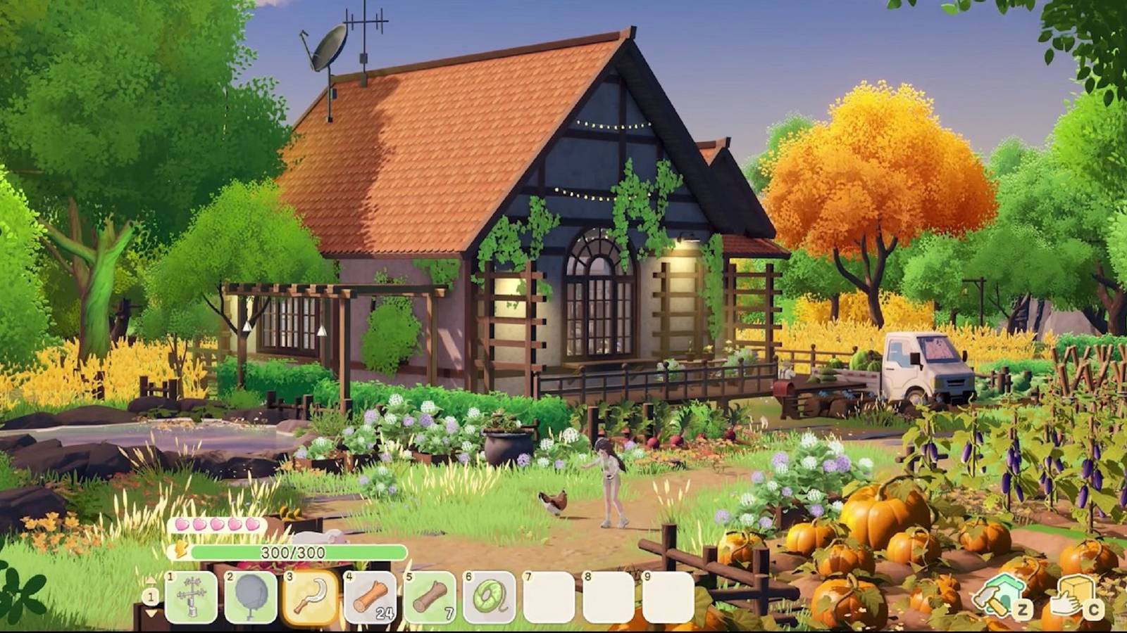 starsand-island-fully-decorated