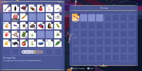 Strange Key in Disney Dreamlight Valley