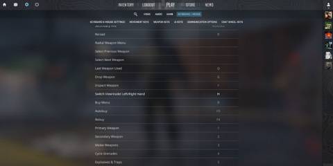 Counter-Strike 2 settings 