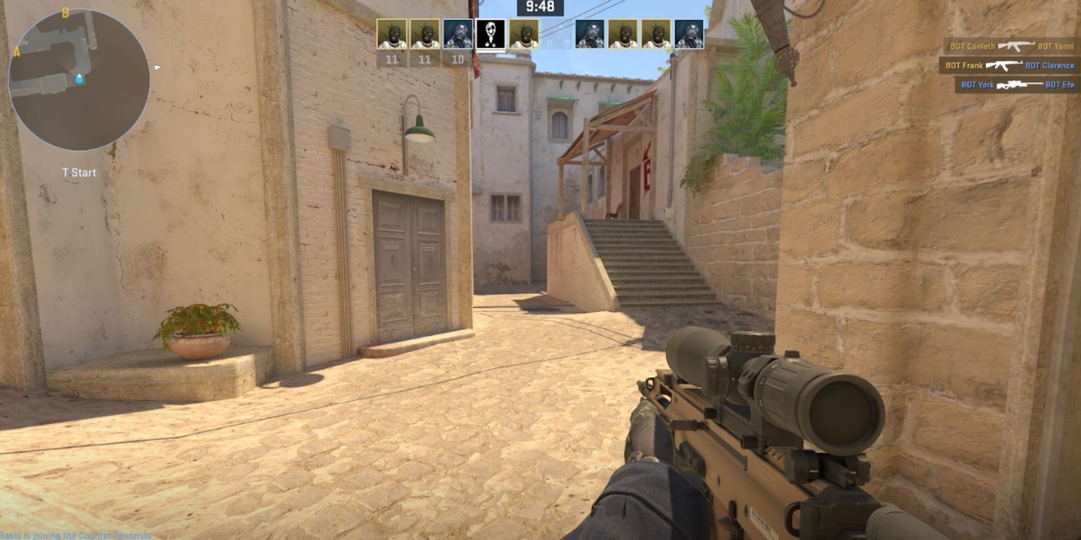 Counter Strike 2 Player