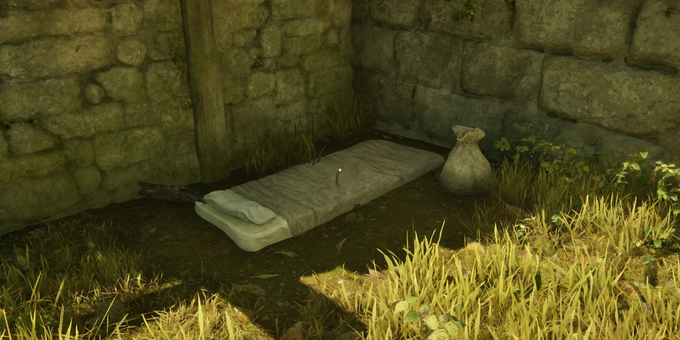 Scroll Elder IV_ Oblivion Remasted Bed