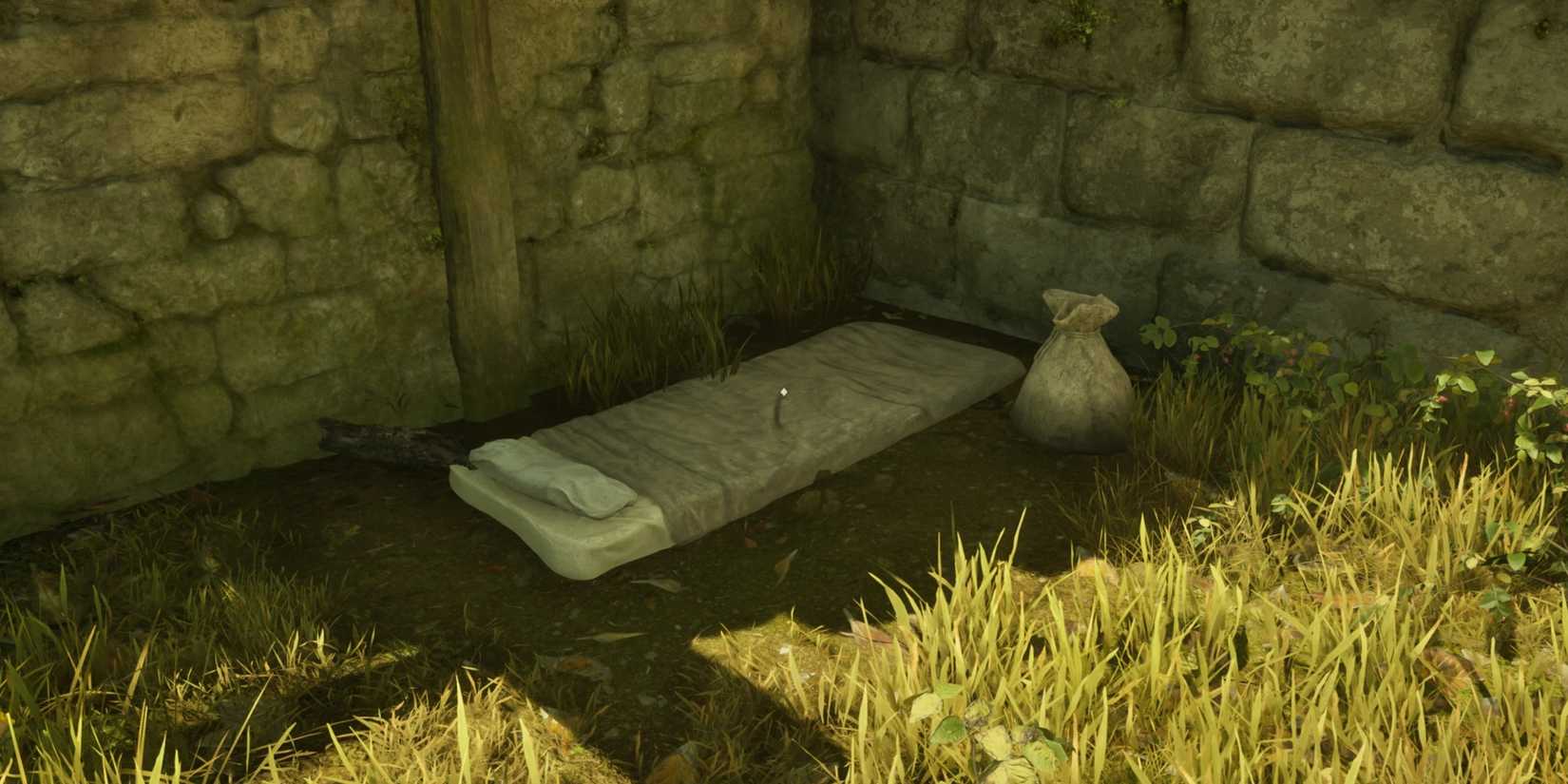 The Elder Scrolls IV_ Oblivion Remastered Bed