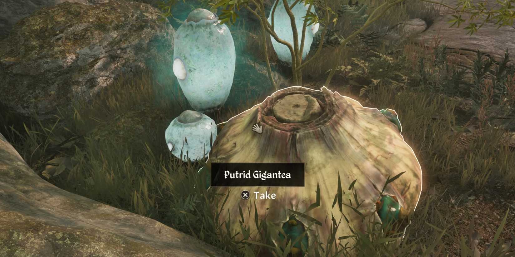 The Elder Scrolls IV_ Oblivion Remastered Plants