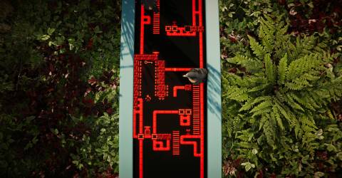 The Forest Cathedral Press Image 1