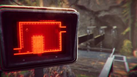 The Forest Cathedral Press Image 2