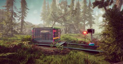 The Forest Cathedral Press Image 7