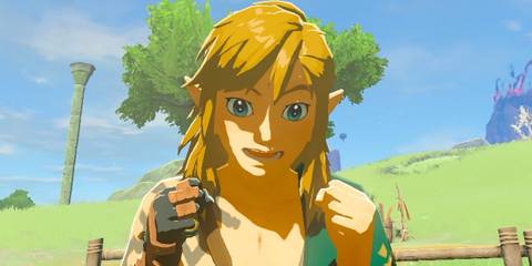 The Legend of Zelda Tears of the Kingdom Link