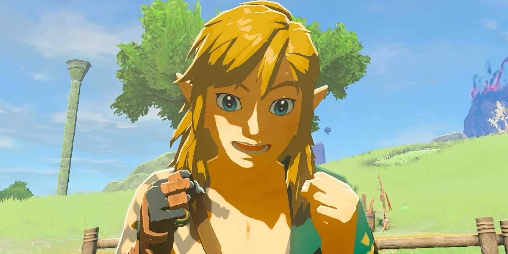 The Legend of Zelda Tears of the Kingdom Link