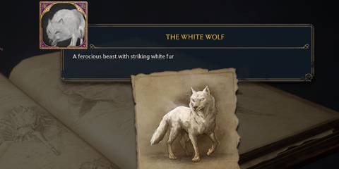 The White Wolf Infamous Foe in Hogwarts Legacy