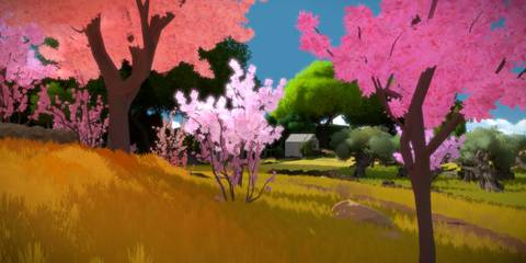 The Witness gameplay