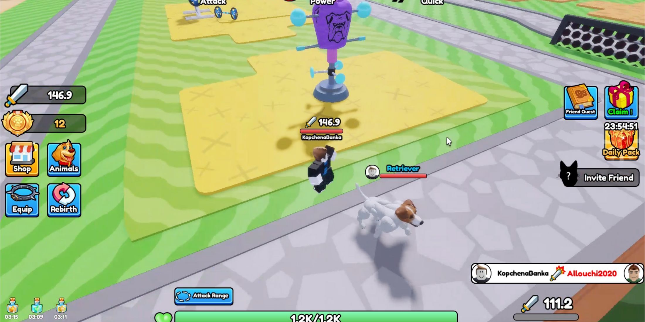 Train Dog to Fight - player