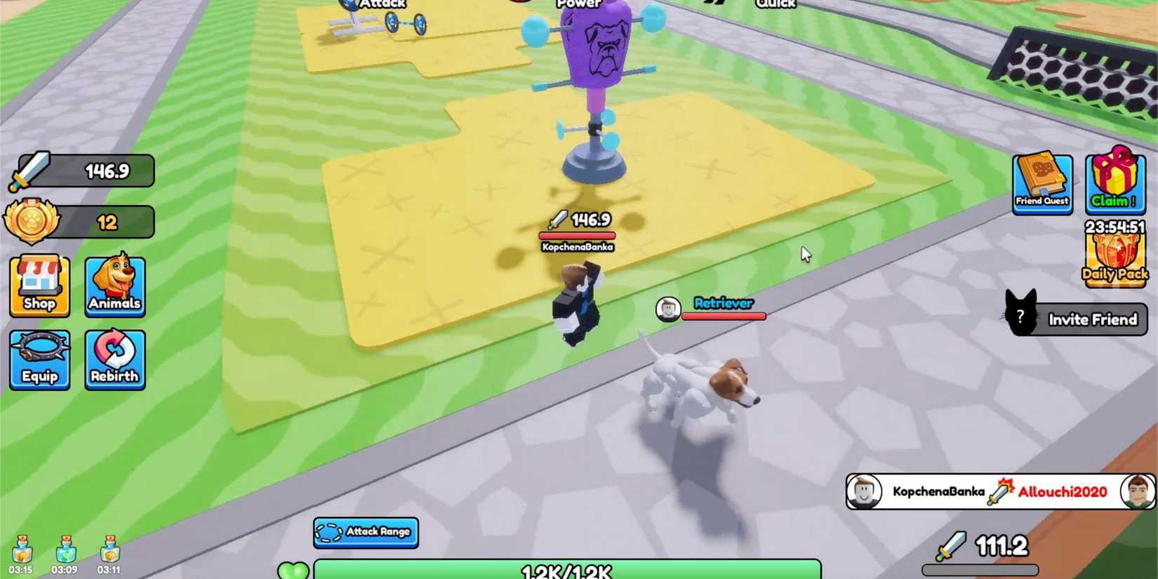 Train Dog to Fight - player