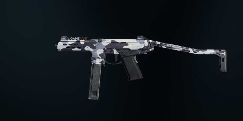 Tundra Ladra in Black Ops 6 and Warzone