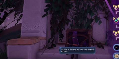 Undelivered Package location in Palia