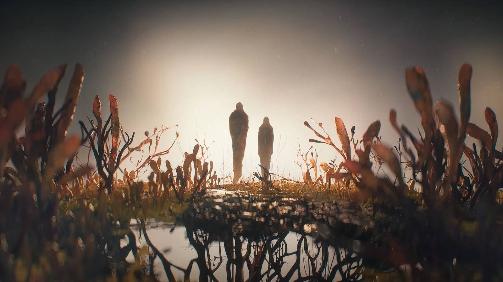 the last of us season 2 opening