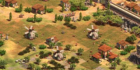 Fields in Age of Empires 2: Definitive Edition